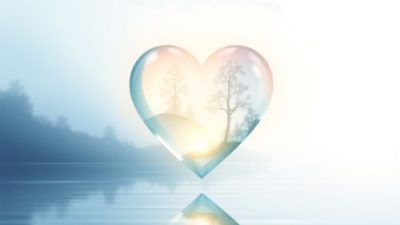Transparency of the Heart