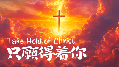 只愿得着你
