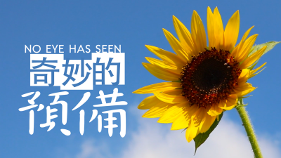 奇妙的預備